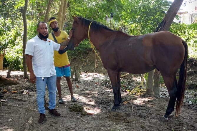 Private & Customize Tour to Martha Brae Rafting and Horseback Riding N Swim - An In-Depth Look at the Tour