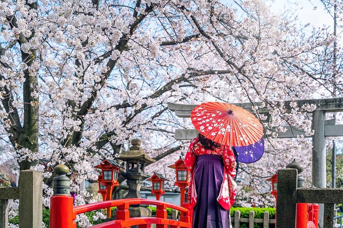 Private Customized 3 Full Days Tour Package: Discover Kyoto, Arashiyama and Nara - Traveler Reviews and Feedback