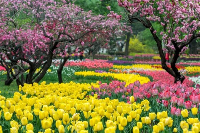 Private Customized Beijing Garden Tour - Frequently Asked Questions