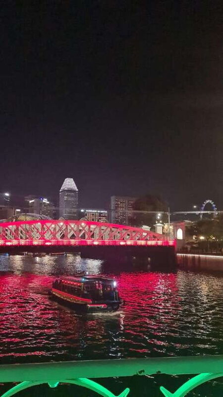 Private Customized Singapore Walking Tour - Introduction