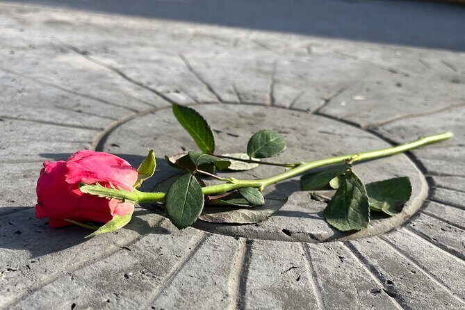 Private Dachau Concentration Camp Memorial Site Tour from Munich - FAQ