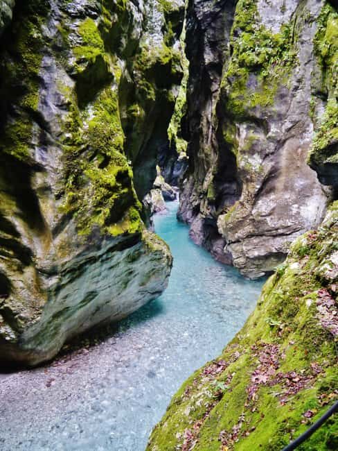 Private: Damajagua Waterfalls Adventure with Jungle Trek - Key Points