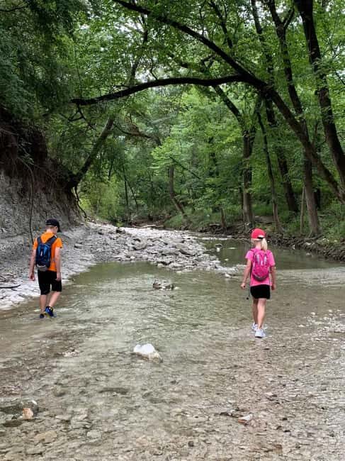 Private: Damajagua Waterfalls Adventure with Jungle Trek - Pricing and Value