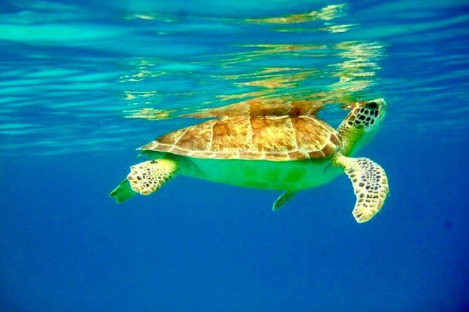 Private Day Charter Classic Sailboat - Introducing the Private Day Charter Classic Sailboat Experience