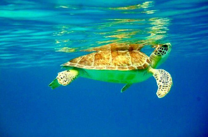 Private Day Charter Classic Sailboat - Final Thoughts