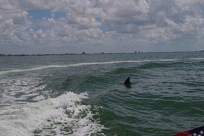 Private Day Cruise: Explore Cape Coral, Sanibel and Fort Myers - The Value of a Private Tour in Southwest Florida