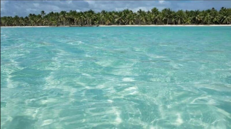 Private Day Excursion to Saona Island from Juan Dolio - How the Day Unfolds