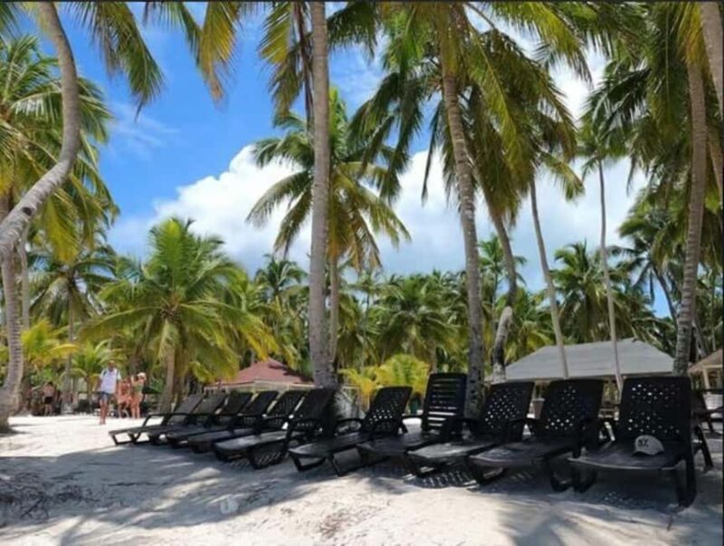 Private Day Excursion to Saona Island from Juan Dolio - The Value of This Tour