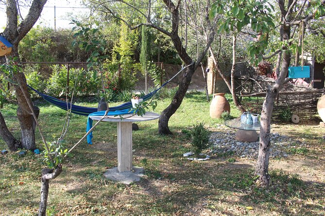 Private Day Horse Riding Trip to Sighnaghi With Lunch and Wine/Beer. - Cancellation and Customer Support