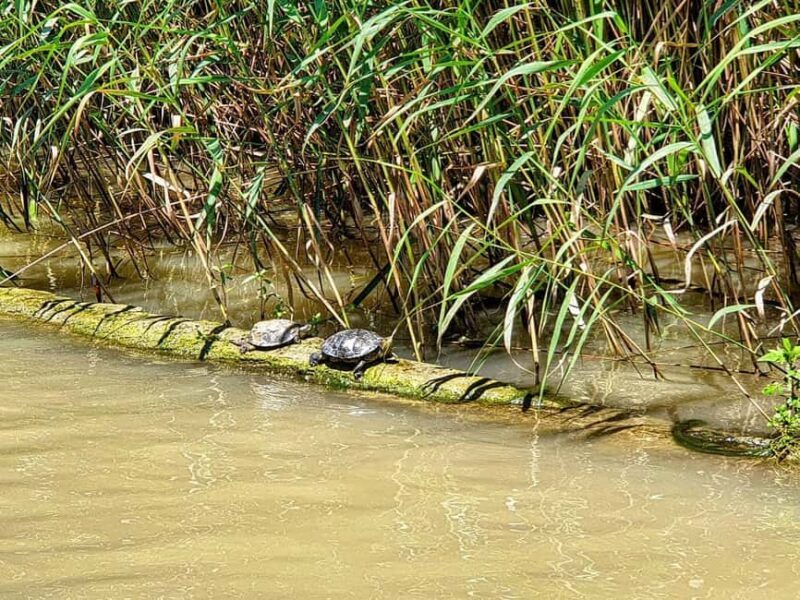 Private Day Tour: Aladzha, Varna, Pobiti Kamani, Kamchia - What Travelers Can Expect