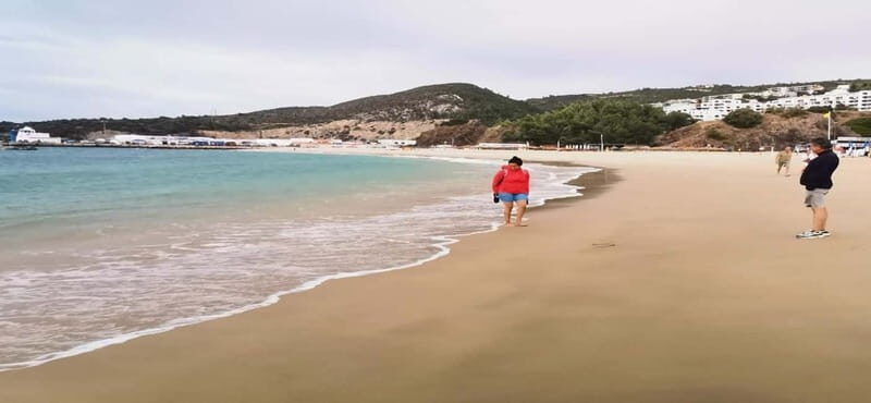 Private day tour Arrábida, Palmela Castle, tiles and Winery - FAQ