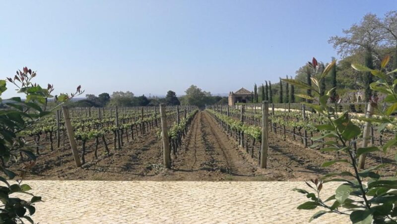 Private day tour Arrábida, Palmela Castle, tiles and Winery - An In-Depth Look at the Itinerary and Experience