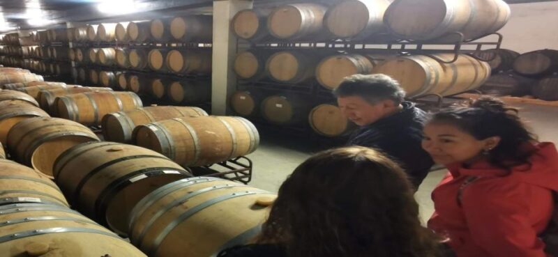 Private day tour Arrábida, Palmela Castle, tiles and Winery - Who Should Consider This Tour?