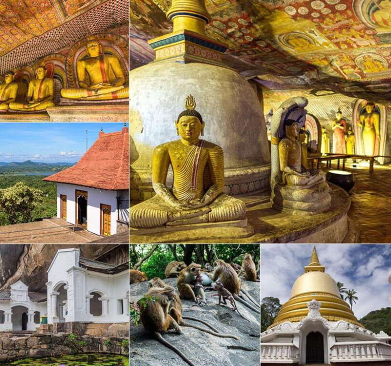 Private Day Tour Dambulla Sigiriya Village Tour - The Itinerary Breakdown: What You Can Expect