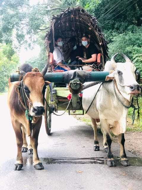Private Day Tour Dambulla Sigiriya Village Tour - The Sum Up