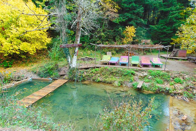 Private Day Tour From Athens to Pavliani Forest Park Trek - Key Points