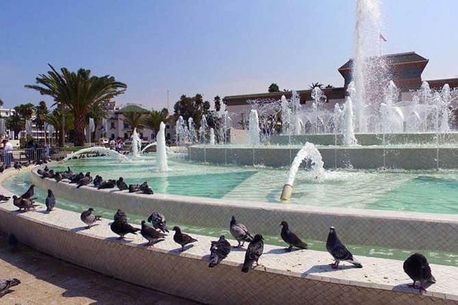 Private Day Tour From Marrakech to Casablanca - Inclusions and Amenities