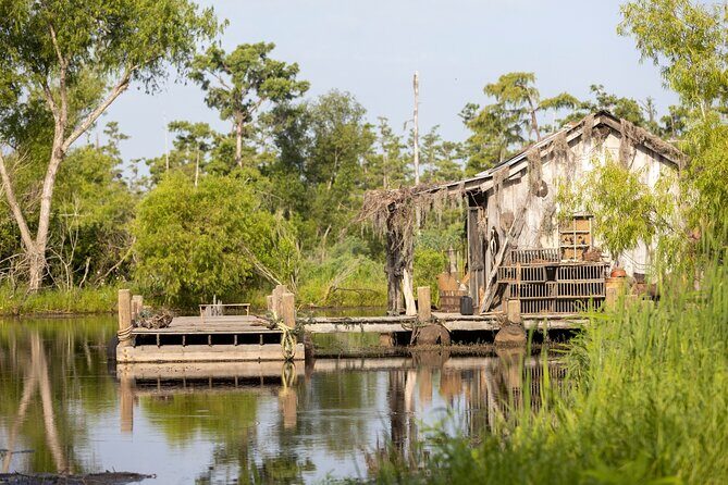 Private Day Tour from New Orleans to the Bayou and Swamps - Transport and Comfort