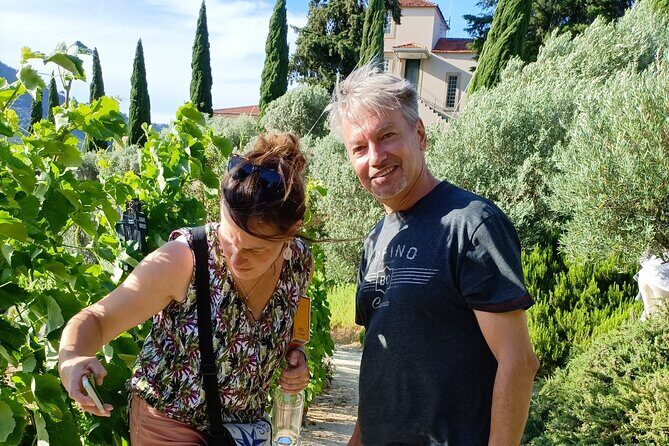 Private day tour from Porto to Douro Valley - Why This Tour Offers Good Value