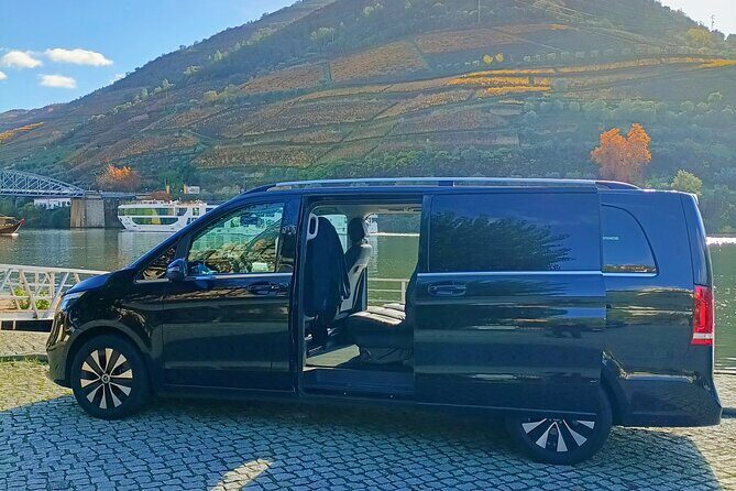 Private day tour from Porto to Douro Valley - Who Should Consider This Tour?
