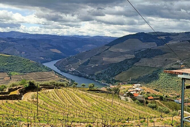 Private day tour from Porto to Douro Valley - Final Thoughts