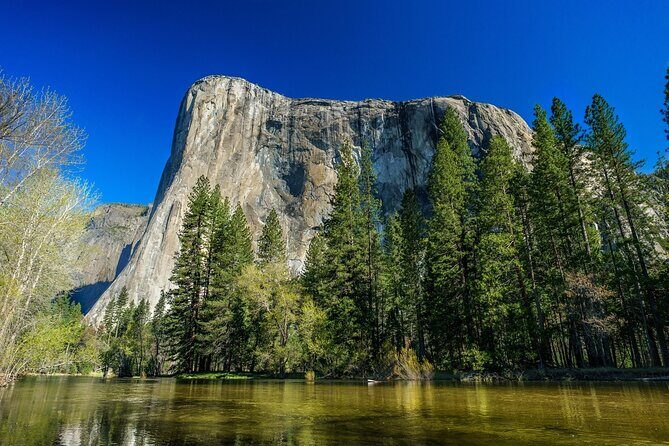 Private Day Tour from San Jose in Yosemite Natural Park - An In-Depth Look at the Yosemite Private Day Tour