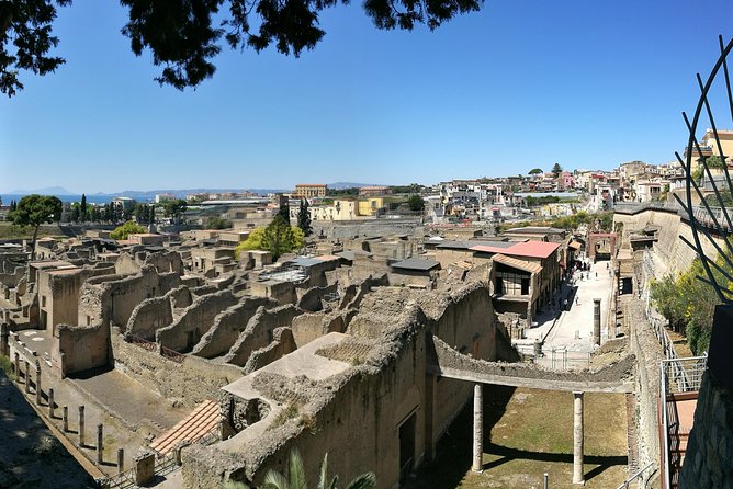 Private Day Tour: Herculaneum and Wine Tasting - The Sum Up
