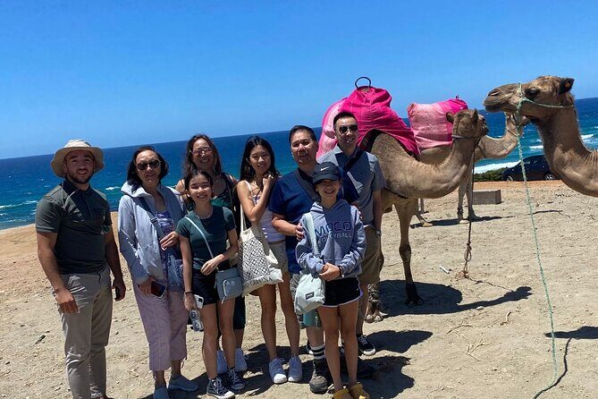 Private Day Tour in Gibraltar and Tangier, Morocco from Malaga - Highlights from Past Travelers