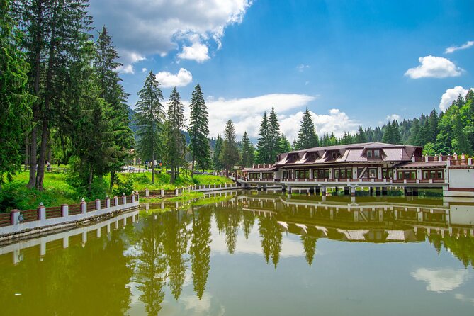 Private Day Tour in Transylvania, Peles and Bran Castles From Brasov - Traveler Feedback and Experience