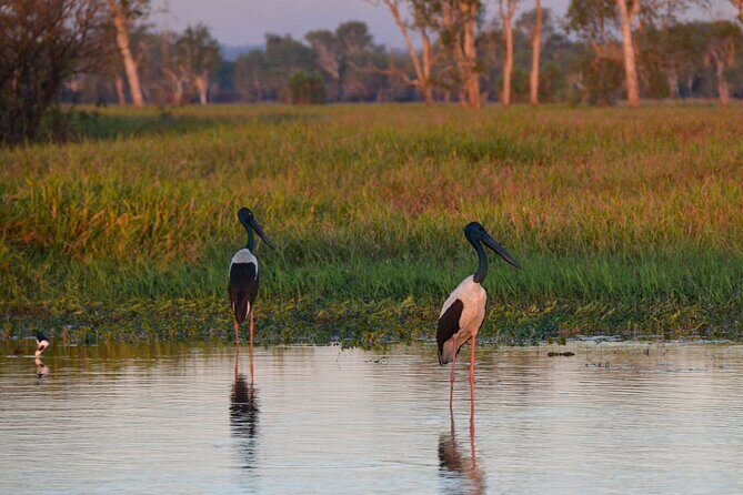 Private Day Tour Kakadu - FAQs