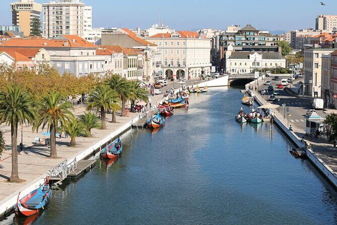 Private day tour of Coimbra and Aveiro from Lisbon - Final Thoughts on the Coimbra and Aveiro Private Day Tour  