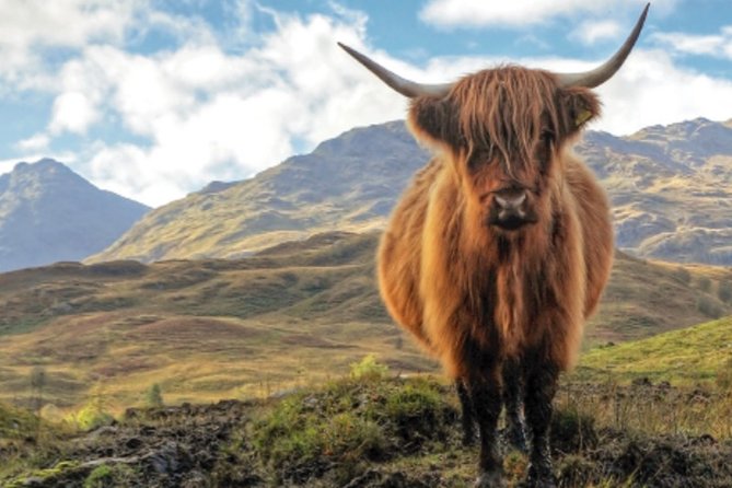 Private Day Tour of Outlander Filming Locations in Scotland - Whats Included in the Package