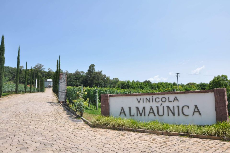 Private Day Tour of the Vale Dos Vinhedos Departing From Porto Alegre - Culinary Delights