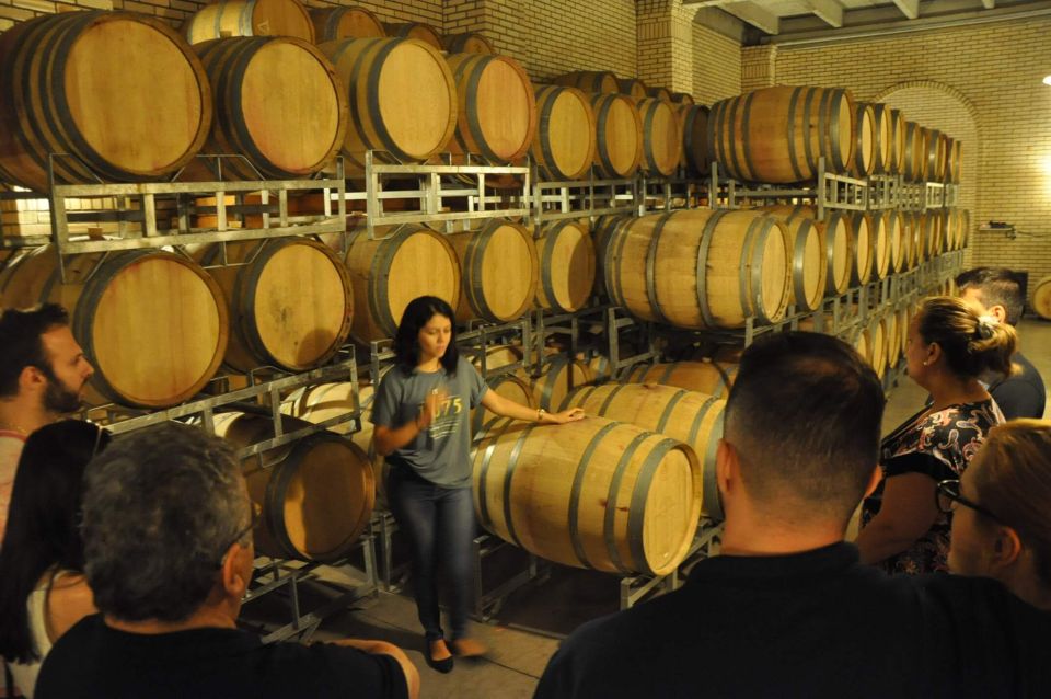 Private Day Tour of the Vale Dos Vinhedos Departing From Porto Alegre - Wine Tasting Experiences