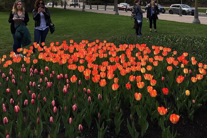Private Day Tour OTTAWA Tulip Festival May 10-20 From MONTREAL - Expectations and Accessibility
