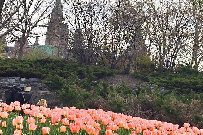 Private Day Tour OTTAWA Tulip Festival May 10-20 From MONTREAL - Reviews and Feedback