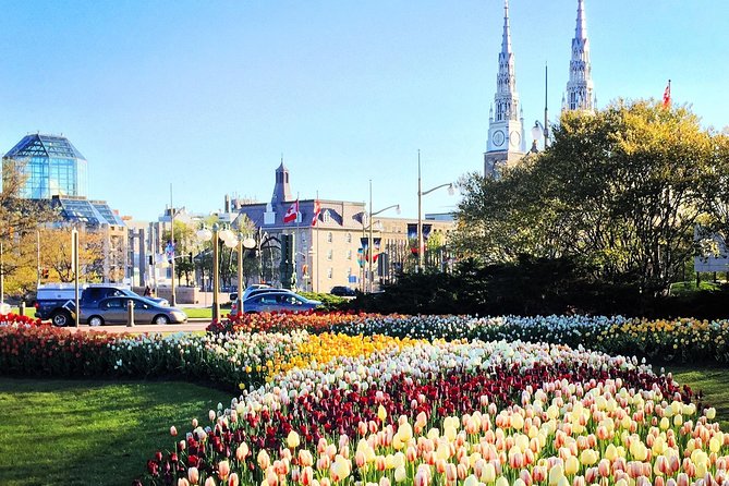 Private Day Tour OTTAWA Tulip Festival May 10-20 From MONTREAL - Personalized and Stress-free Experience