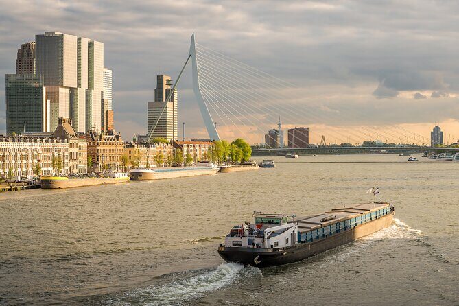Private Day Tour: Rotterdam and The Hague. English or Spanish - Breaking Down the Itinerary
