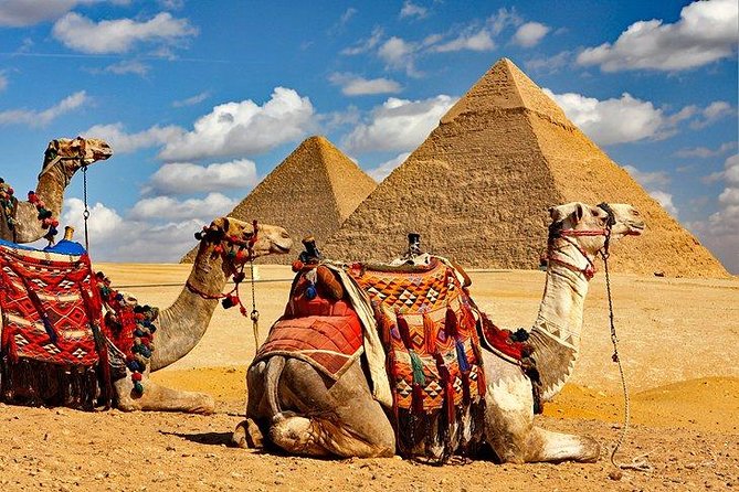 Private Day Tour to Cairo From Hurghada Makadi Bay Soma Bay El Gouna - Pickup Locations and Accessibility