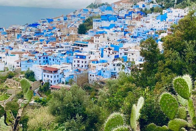 Private Day Tour to Chefchaouen From Tangier - Customer Reviews and Ratings