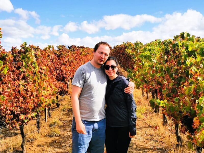 Private day tour to Évora: cork, factory, winery & the city - The Sum Up: Is This Tour Right for You?