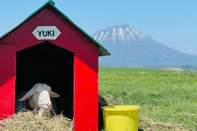 Private Day Tour to Hokkaido Noboribetsu and Lake Toya by Car - Exploring Noboribetsu