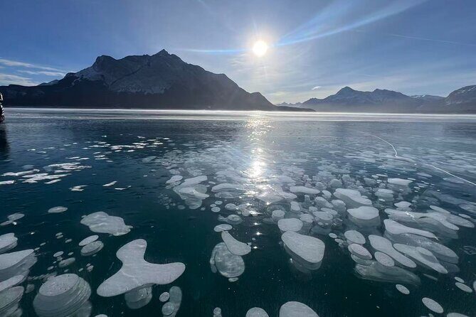 Private Day Tour to Icefield Parkway and Abraham Lake - Exploring the Highlights of the Private Icefield Parkway and Abraham Lake Tour