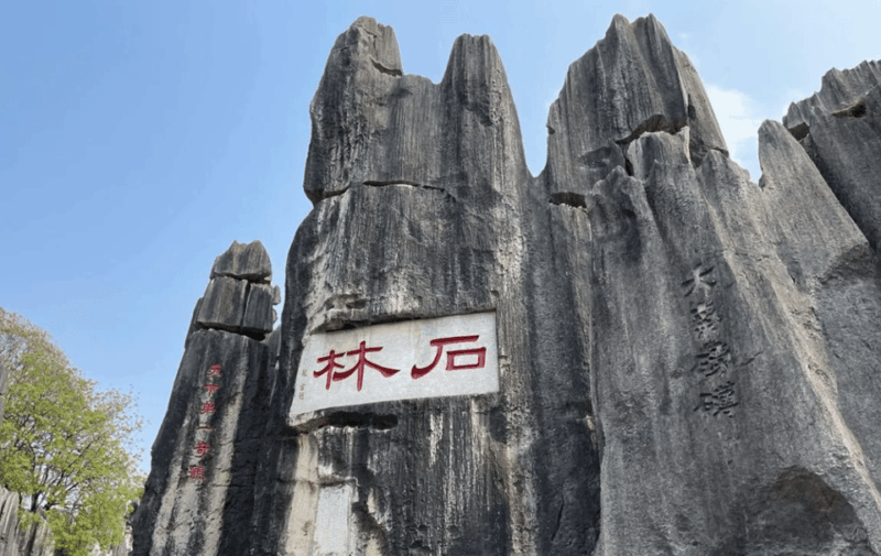 Private Day Tour to Kunming Stone Forest and Jiuxiang Cave - Inclusions