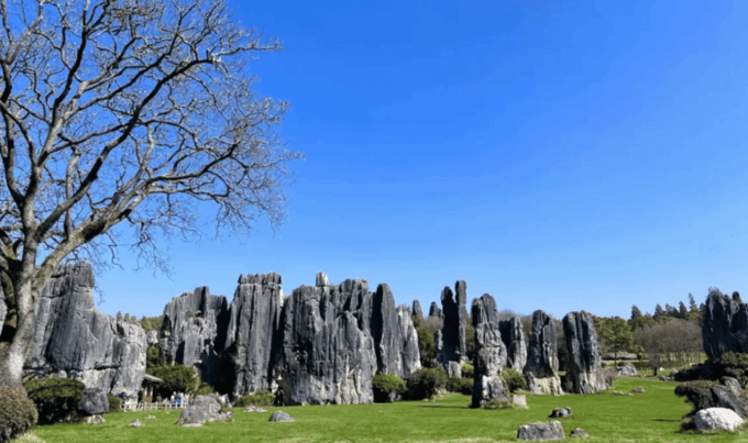 Private Day Tour to Kunming Stone Forest and Jiuxiang Cave - What to Expect