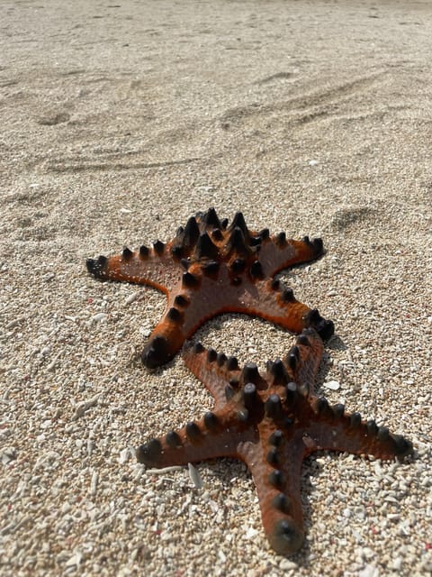 Private Day Tour to Pink Beach-Sand Island-Gili Petelu - Price and Cancellation