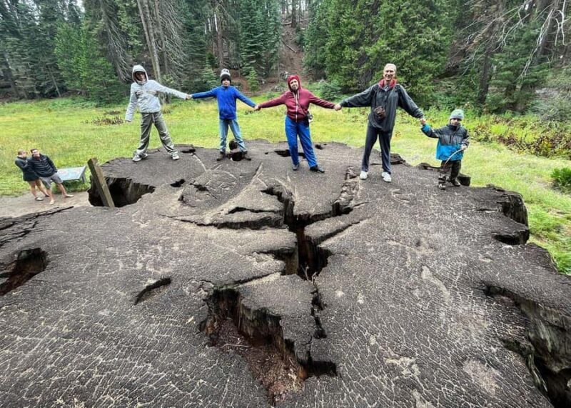 Private Day Tour to Sequoia and Kings Canyon Parks From LA - Key Points