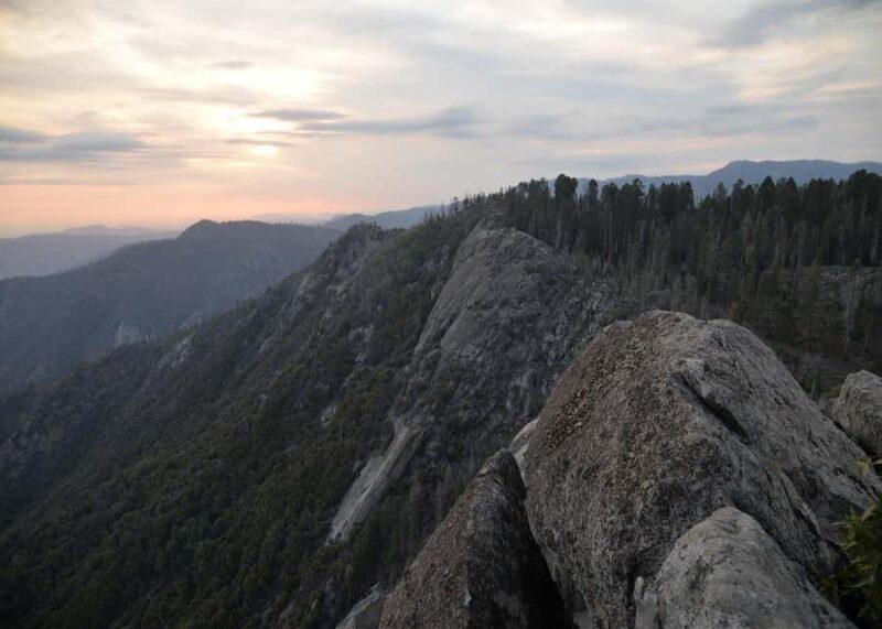 Private Day Tour to Sequoia and Kings Canyon Parks From LA - The Experience: What You Can Expect