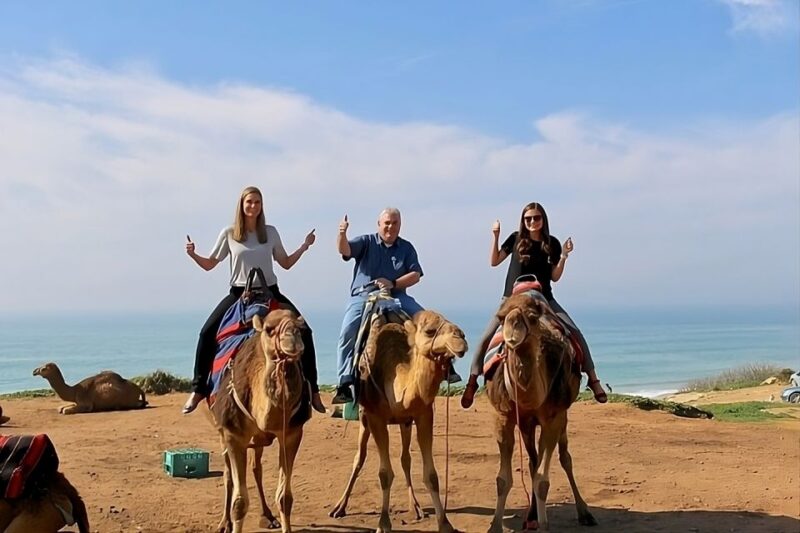 Private Day Tour to Tangier From Tarifa or Algeciras - Tour Highlights