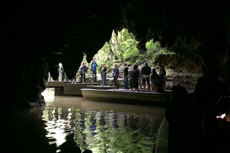 Private Day Tour: Waitomo Glowworms & Hobbiton Movie Set - Transportation and Comfort